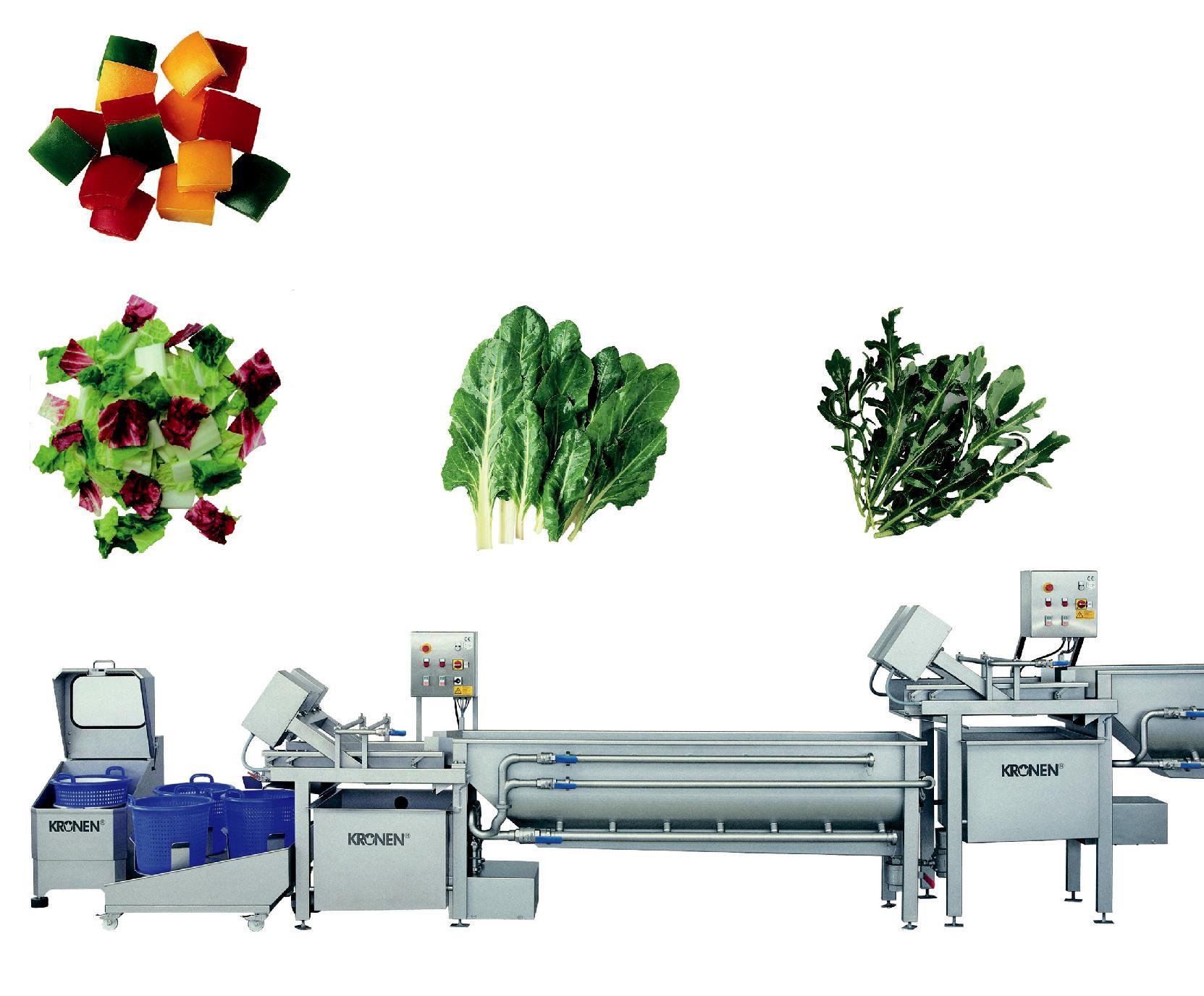 Цех переработки фруктов. Конвейерные станки для шинковки овощей (GD-586). Оборудование для измельчения овощей Kronen. Оборудование для пищевого производства. Линия мойки и фасовки овощей.
