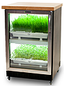 Шкаф для выращивания зелени URBAN CULTIVATOR Residential