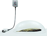 Аксессуары для рыбочисток