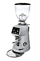 Кофемолка FIORENZATO F64 EVO серый