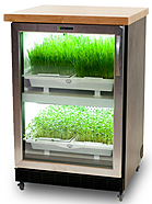 Шкафы для выращивания зелени