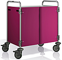 Тележка сервировочная B.PRO BLANCO SW 8 x 5-3 с облицовкой с трех сторон со створчатыми дверями, 569 770 + 375 454 цвет ежевика 574 139
