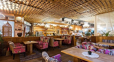 «Гуси-Лебеди» на Коломяжском