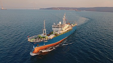 «Интеррыбфлот»