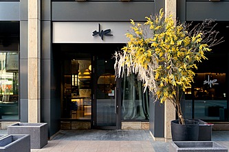 SHE на Белой площади